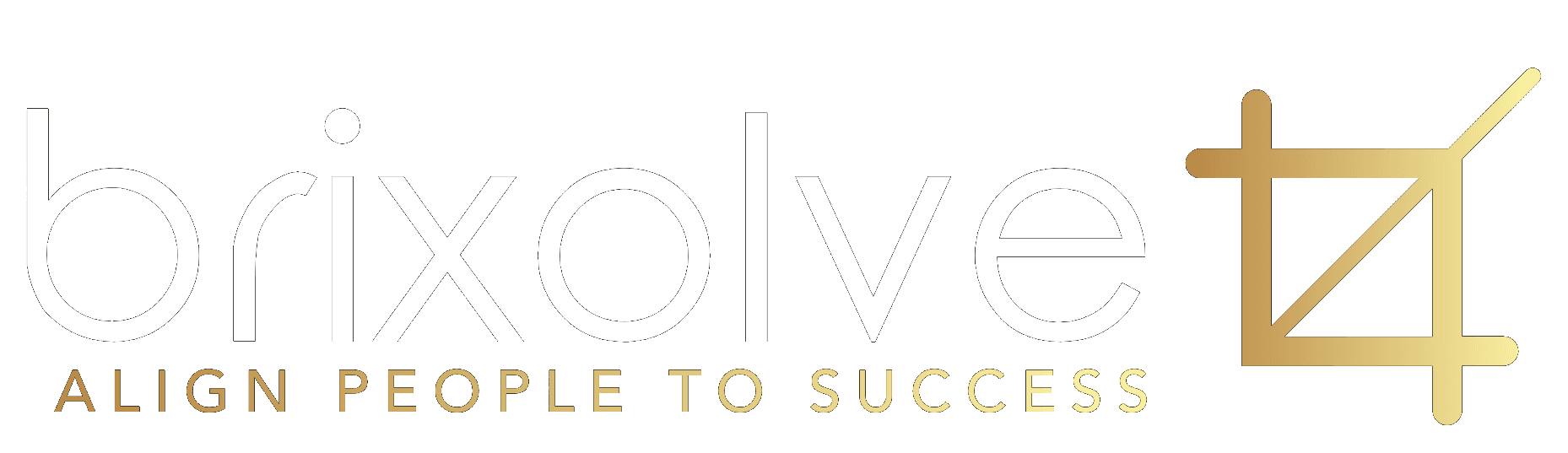 Brixolve — Align People to Success